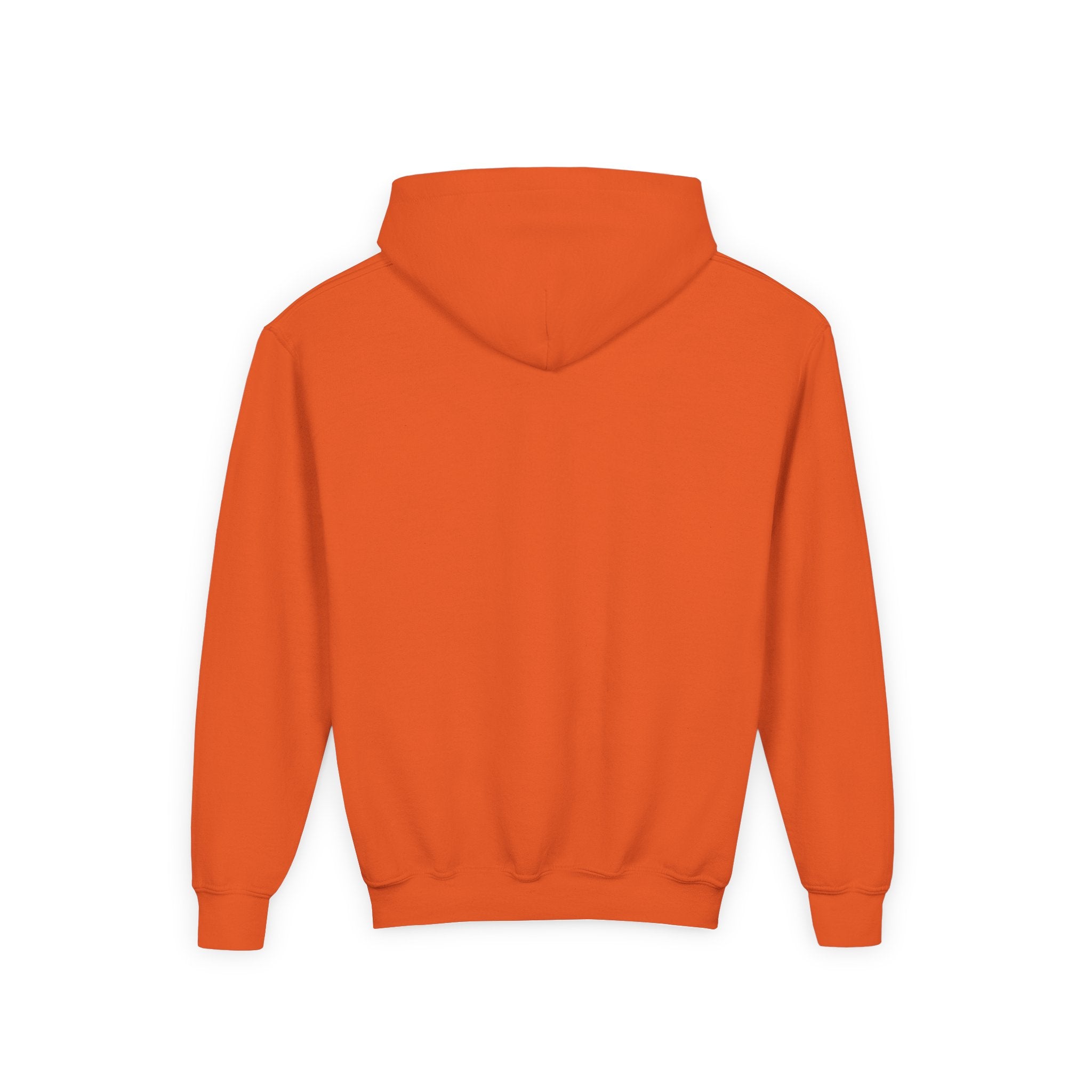 Customizable Youth Heavy Blend Hooded Sweatshirt, Cozy Kids Hoodie, Personalized Teen Sweatshirt, Great for Birthdays, School Spirit, [...]