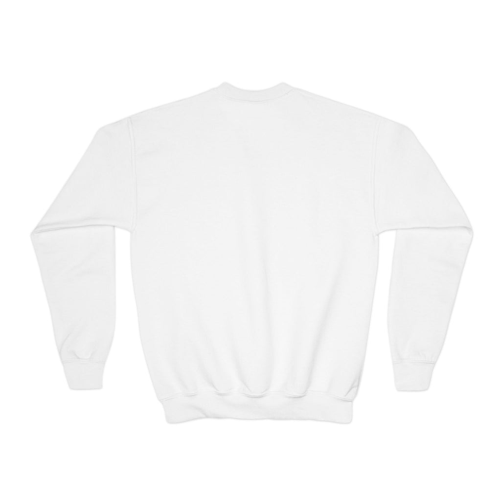 Youth Customizable Crewneck Sweatshirt, Personalized Gift, Cozy Youth Sweatshirt, Kids Casual Wear, Holiday Gift, Fun Fashion