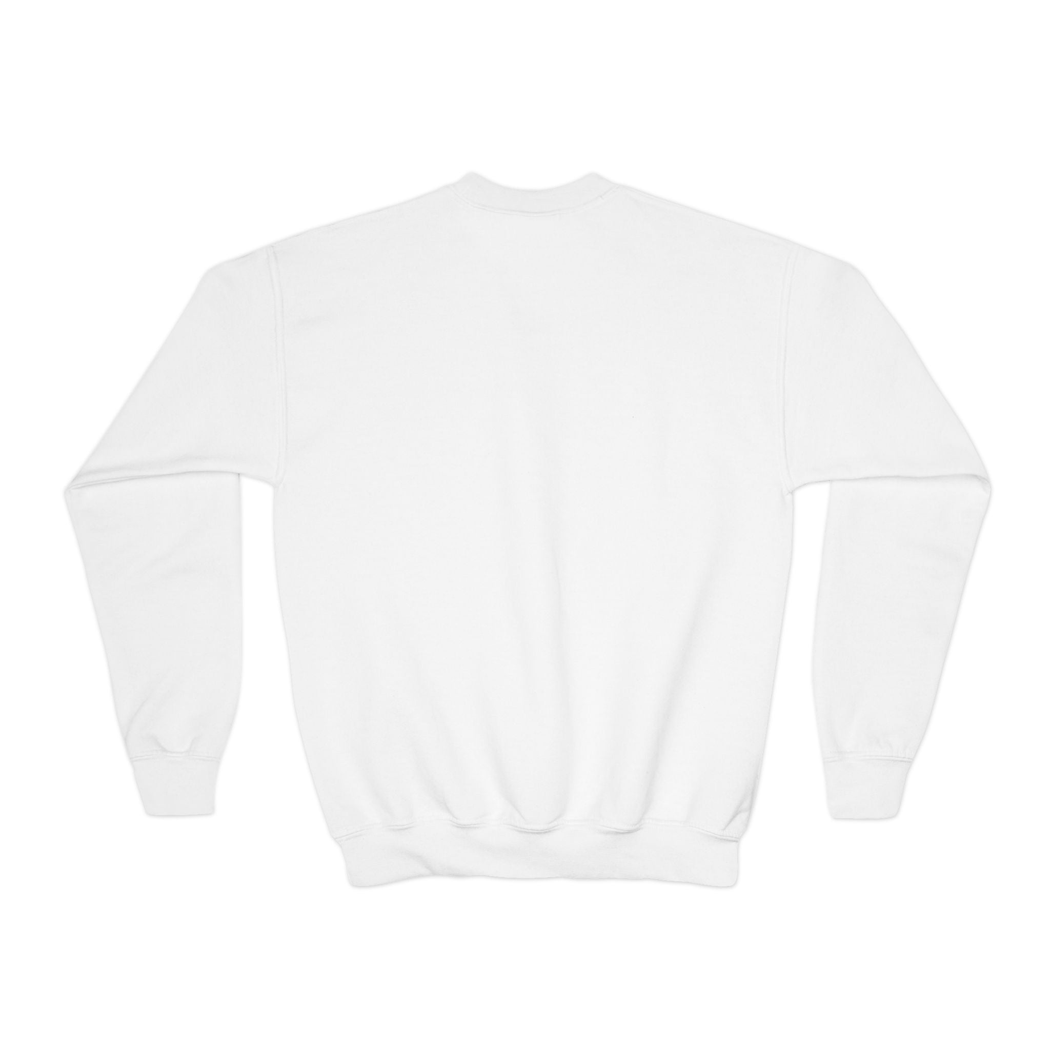Youth Customizable Crewneck Sweatshirt, Personalized Gift, Cozy Youth Sweatshirt, Kids Casual Wear, Holiday Gift, Fun Fashion
