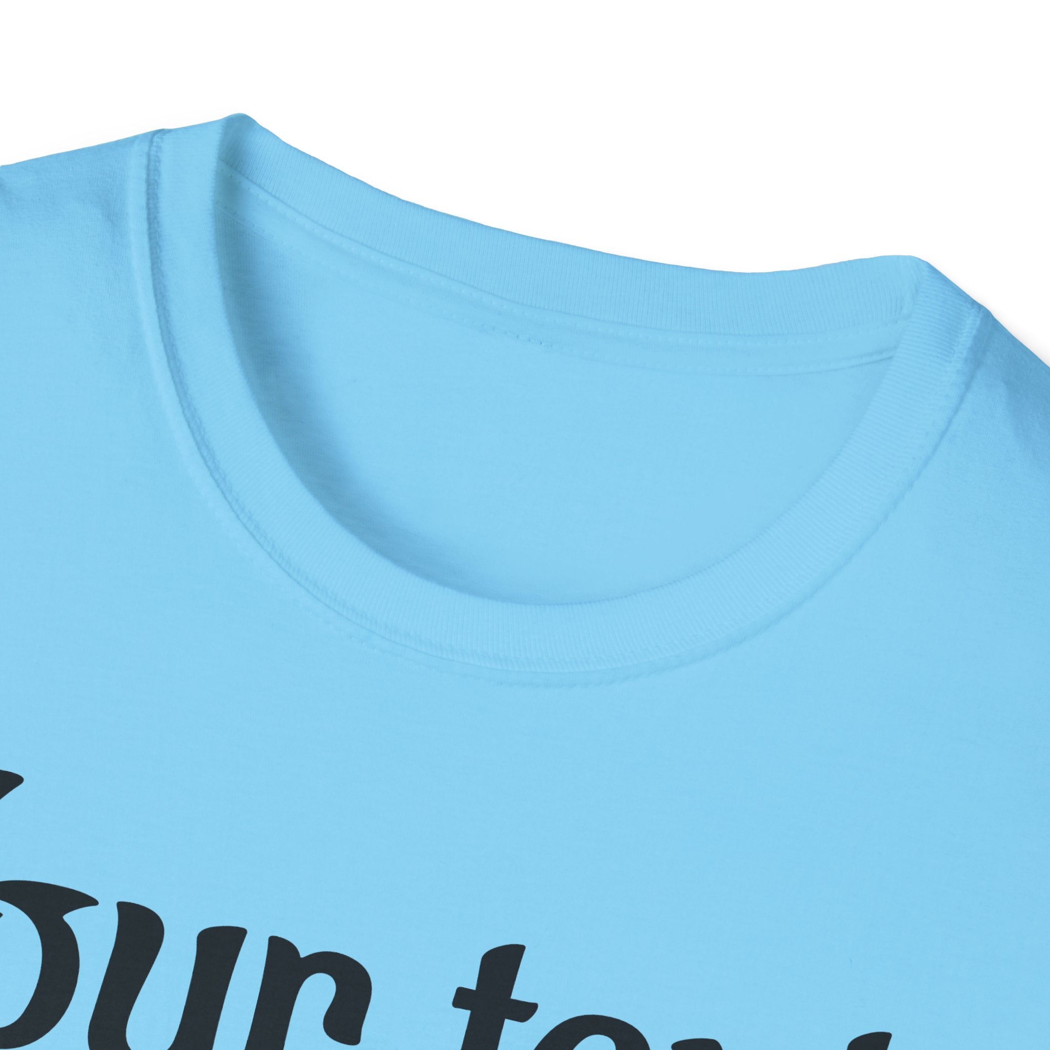 Customizable Unisex Softstyle T-Shirt | Personalized Gift, Funny Tee, Family Reunion, Birthday Present, Casual Wear